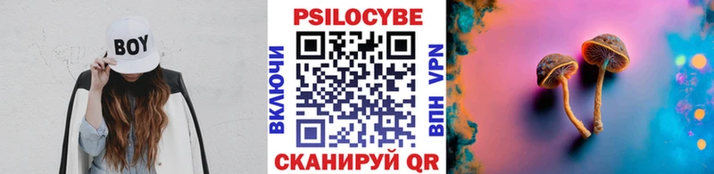 как найти закладки  Калач  Псилоцибиновые грибы GOLDEN TEACHER 